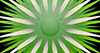 白｜緑｜太陽 - バックグラウンド｜フリー素材 - 4Kサイズ：4,096×2,160ピクセル
