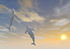 Sunset | Dolphin | Jump | Environment / Nature / Energy / Disaster --Environmental Image | Free Illustration Material