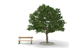Bench / Tree | Oki | Park | Environment | Nature | Energy | Disaster --Environmental Image | Free Illustration Material