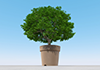 Flowerpot / Large tree ｜ Nature / Energy ｜ Plant / Growing | Environment | Nature | Energy | Disaster --Environmental image ｜ Free illustration material