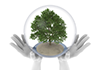 クリーンエネルギー｜両手/力｜水/木/球体 | 環境・自然・エネルギー・災害素材 - 環境イメージ｜フリーイラスト素材