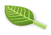 Leaf / 3D ｜ 3D / Green ｜ Leaf Icon --Environmental Image ｜ Free Illustration Material
