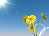 Sunflower | Sun | Nature | Nikko | Environment | Nature | Energy | Disaster --Environmental Image | Free Illustration Material
