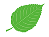 葉っぱ | 緑  | 環境・自然・エネルギー・災害 - 環境・自然・エネルギー｜フリーイラスト