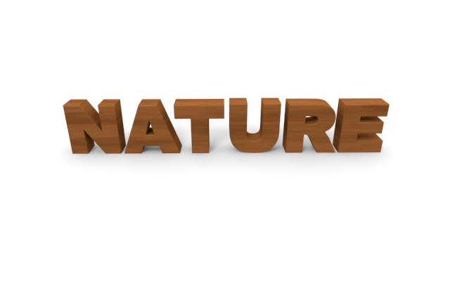 「NATURE」立体文字 - ウッド/木材/イラスト/写真/フリー素材/フォト/質感/3D
