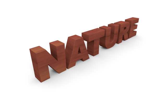 3D文字「NATURE」 - ウッド/木材/イラスト/写真/フリー素材/フォト/質感/3D