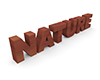 3D文字「NATURE」 - 木材・木｜無料イラスト素材