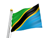 タンザニア - 国旗｜世界地図｜フリーイラスト素材