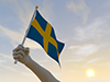 スウェーデン - 国旗｜世界地図｜フリーイラスト素材