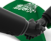 サウジアラビア｜国旗｜交渉｜和解｜紛争 - 国旗｜世界地図｜フリーイラスト素材