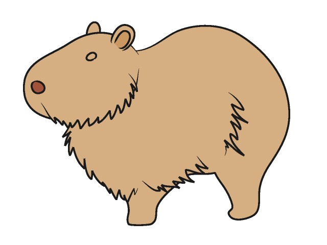 Capybara  Animal illustration art, Capybara, Animal illustration