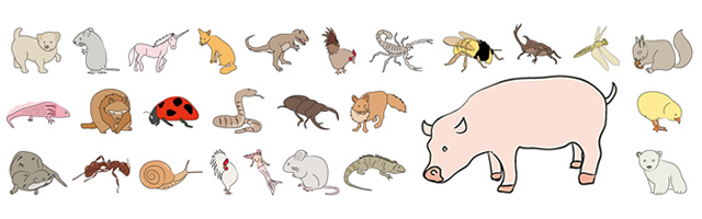 Rabbit / chick / squirrel / pig / chicken / fox / white bear / mouse / snake / mogura / insect / mantis / grasshopper / butterfly / bee