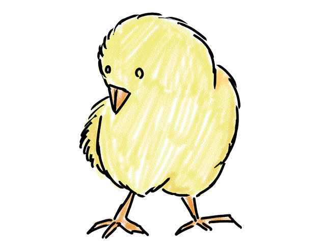 雛 | ヒヨコ - 人 / 手描き / 漫画 / アニメ / イラスト / クリップアート / フリー素材