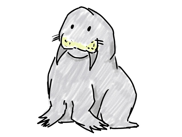 アザラシ | 海豹 - 人 / 手描き / 漫画 / アニメ / イラスト / クリップアート / フリー素材