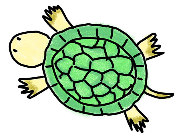 カメ | 亀 - 人 / 手描き / 漫画 / アニメ / イラスト / クリップアート / フリー素材