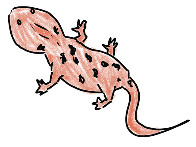 イモリ - 人 / 手描き / 漫画 / アニメ / イラスト / クリップアート / フリー素材