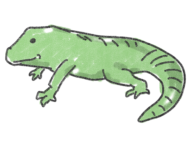 トカゲ - 人 / 手描き / 漫画 / アニメ / イラスト / クリップアート / フリー素材