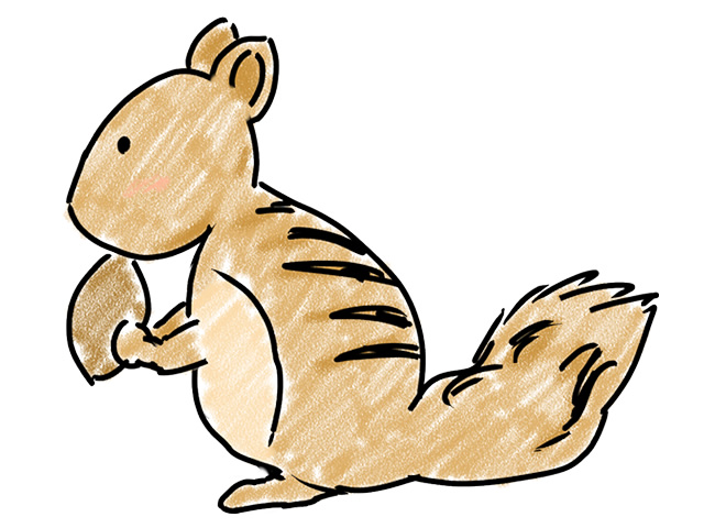栗鼠 | リス | 動物 - 人 / 手描き / 漫画 / アニメ / イラスト / クリップアート / フリー素材