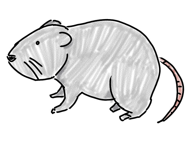 マウス | ネズミ - 人 / 手描き / 漫画 / アニメ / イラスト / クリップアート / フリー素材