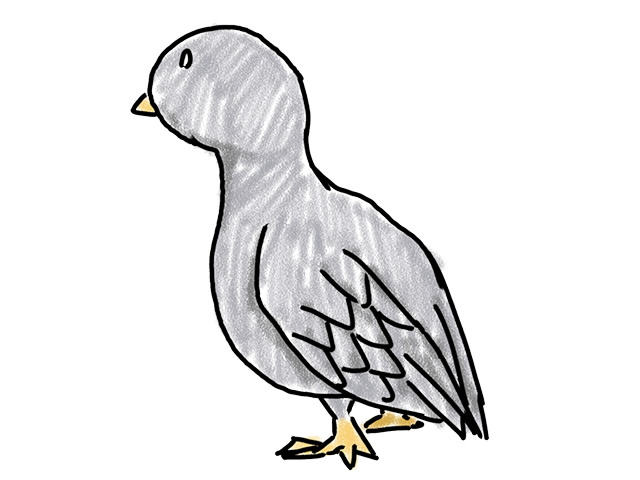 鳩 | ハト - 人 / 手描き / 漫画 / アニメ / イラスト / クリップアート / フリー素材