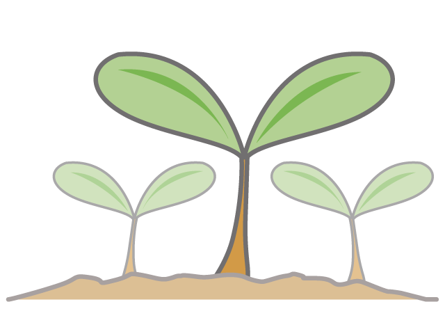 春の芽｜植物 - イベント/シーズン/季節/ダウンロード/無料/イラスト/春/夏/秋/冬