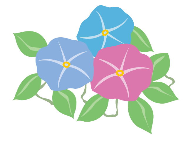 あさがお｜花 - イベント/シーズン/季節/ダウンロード/無料/イラスト/春/夏/秋/冬