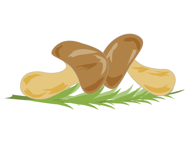 松茸｜まつたけ - イベント/シーズン/季節/ダウンロード/無料/イラスト/春/夏/秋/冬