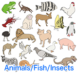 Animals/Fish/Insects