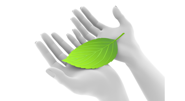 葉を手のひらに乗せる｜葉を両手にのせる - ハンド/イラスト/手/写真/ダウンロード/フォト/画像加工OK