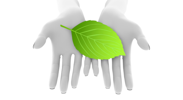 葉を両手にのせる｜葉っぱをつまむ - ハンド/イラスト/手/写真/ダウンロード/フォト/画像加工OK