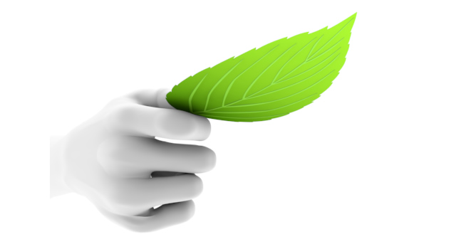 緑の葉を差し出す｜葉を手のひらに乗せる - ハンド/イラスト/手/写真/ダウンロード/フォト/画像加工OK