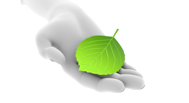 葉を拾い上げる｜葉を人差し指と親指でつまむ - ハンド/イラスト/手/写真/ダウンロード/フォト/画像加工OK