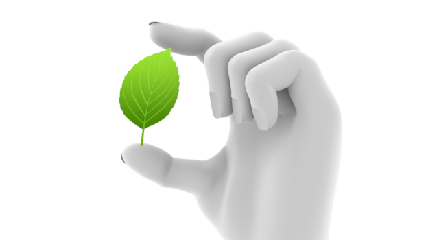 葉を人差し指と親指でつまむ｜自然の葉を手に乗せる - ハンド/イラスト/手/写真/ダウンロード/フォト/画像加工OK