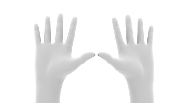 ハイハイとアピールするイメージ｜両手をあげる - ハンド/イラスト/手/写真/ダウンロード/フォト/画像加工OK