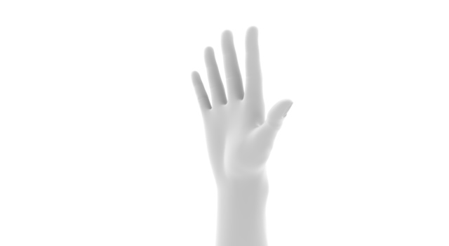 手の平をみせる｜ハイと手を上げる - ハンド/イラスト/手/写真/ダウンロード/フォト/画像加工OK