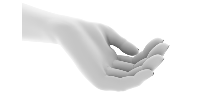 手の上に乗せるイメージ｜捕まえるイメージ/手の表情 - ハンド/イラスト/手/写真/ダウンロード/フォト/画像加工OK