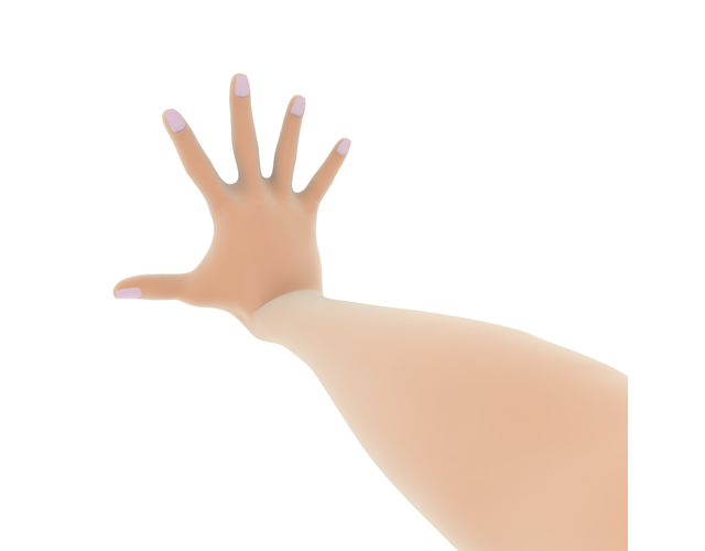 肌色/指/5本/広げる - ハンド/イラスト/手/写真/ダウンロード/フォト/画像加工OK