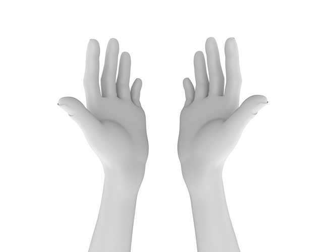 両手/受け取る/手をだす/貰う/頂戴 - ハンド/イラスト/手/写真/ダウンロード/フォト/画像加工OK
