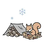 冬支度をするリスの無料イラスト | 冬眠・秋のフリー素材