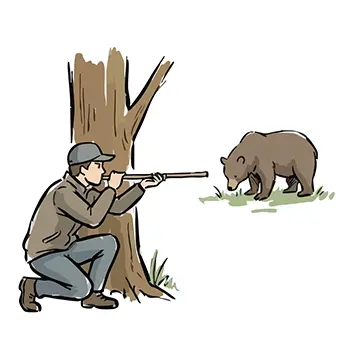 Illustration of a hunter aiming a hunting rifle at a wild bear hiding in the shade of a tree