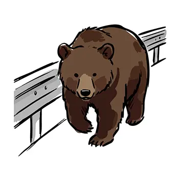 Illustration of a large bear walking towards here next to a road guardrail