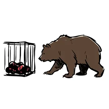 Illustration of a bear walking slowly sideways towards meat bait placed inside a cage