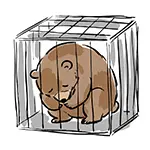 [Free Illustration] Bear Feeling Down in Cage | Commercial Use OK