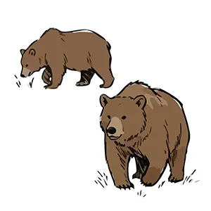 四つ足で地面を歩いている、茶色くて大きな熊の全身イラスト（横向きと斜め前向きの2種類）