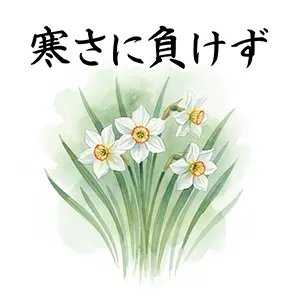 「寒さに負けず」の筆文字とシンプルな水仙のイラスト。応援メッセージとして使える無料素材。