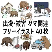 クマ出没・被害関連のフリーイラスト素材40枚。農作物を荒らす熊、車への襲撃、市街地への出現など動物注意