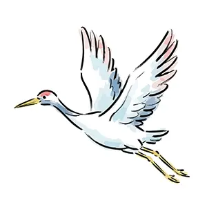 大きく翼を広げて空を飛ぶ美しい鶴の手書き風和風イラスト