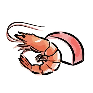 おせち料理の定番である海老と紅白かまぼこの手書き風イラスト