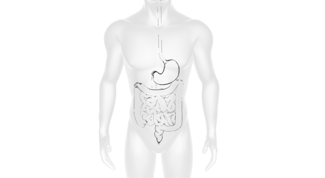 大腸｜食道｜胃｜内蔵/人間｜治療/手術｜移動ベッド/救急 - 医療/病気/介護/病院/人物/写真/イラスト/無料ダウンロード
