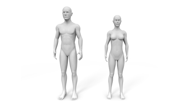 男性｜ヌード｜裸/女性/ボディ｜粉砕/折れる｜血管/血液 - 医療/病気/介護/病院/人物/写真/イラスト/無料ダウンロード